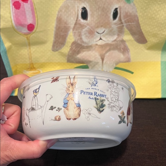 #1329**Cute Bunny Design Bowl with Lid - Picture 5 of 6